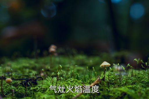 天然氣溫度正常調多高,冬季如何調節天然氣熱水器的溫度...